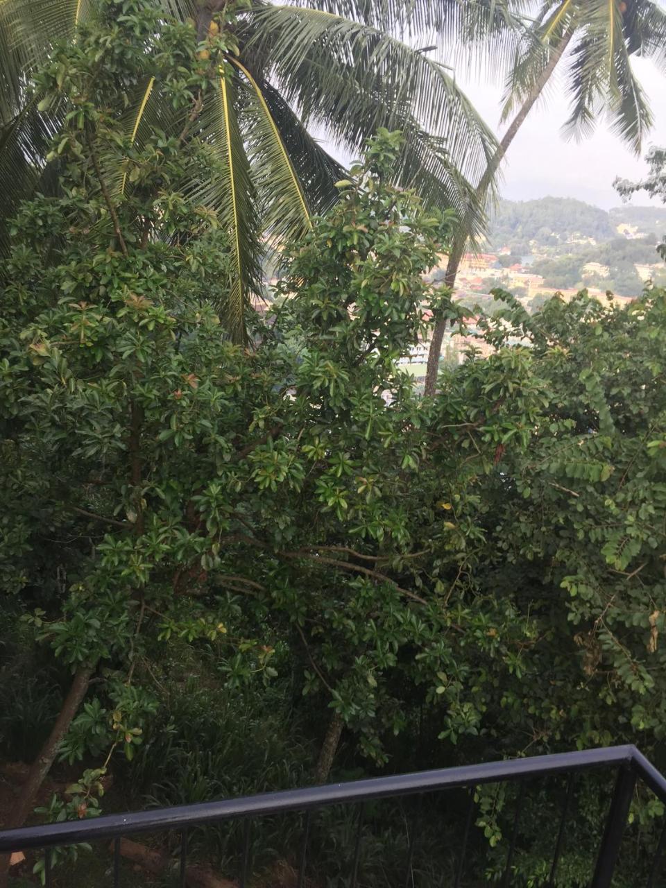 Upland Inn Kandy Eksteriør bilde